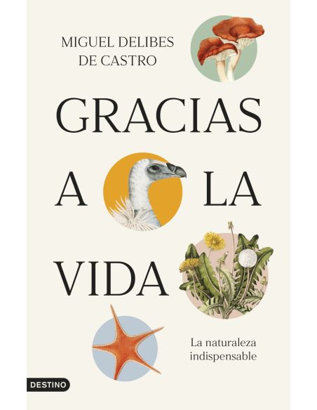 Gracias A La Vida