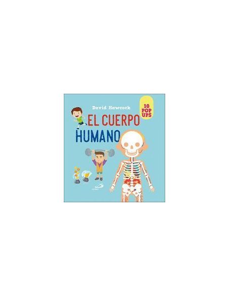 Cuerpo Humano