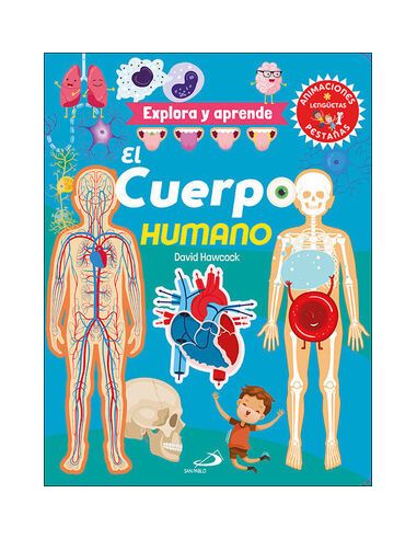 El Cuerpo Humano