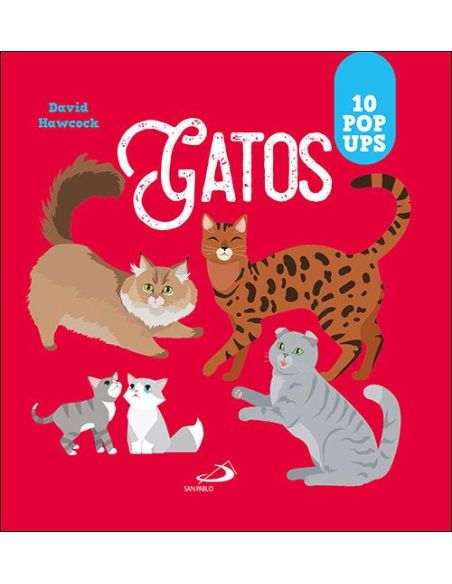 Gatos|Libreriasalesiana