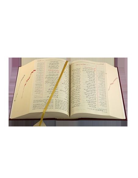Bibbia Scrutate Le Scritture (Árabe)