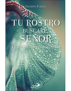 Tu Rostro Buscare, Señor:La Oracion Como Contemplacion