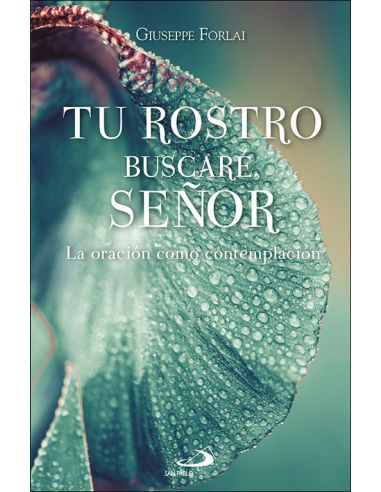 Tu Rostro Buscare, Señor:La Oracion Como Contemplacion