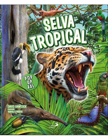 Selva Tropical Xxl Pop Ups