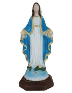 Imagen Resina Milagrosa 15Cm Color
