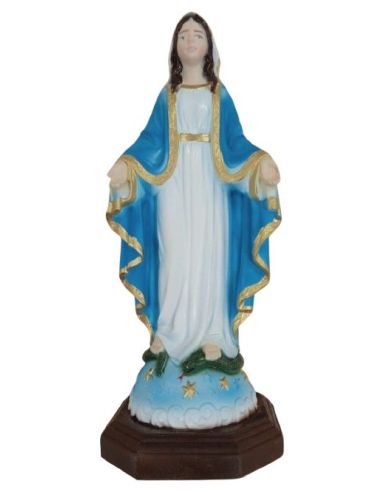 Imagen Resina Milagrosa 15Cm Color