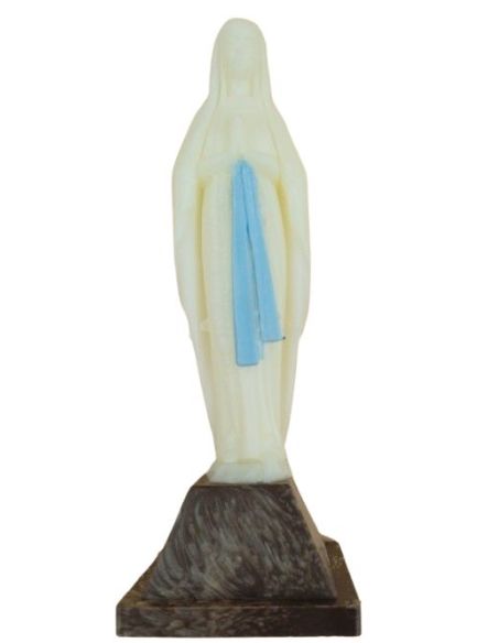 Imagen Fosforescente 9,5Cm Virgen De Lourdes