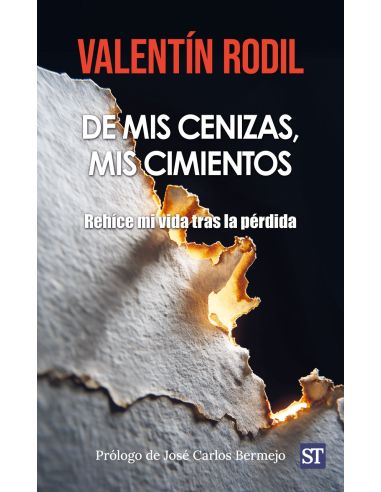 De Mis Cenizas, Mis Cimientos