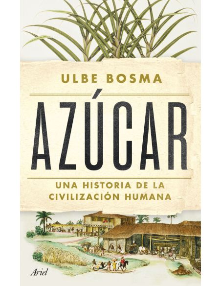 Azúcar