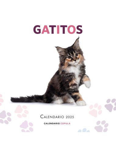 Calendario Gatitos 2025|Libreriasalesiana