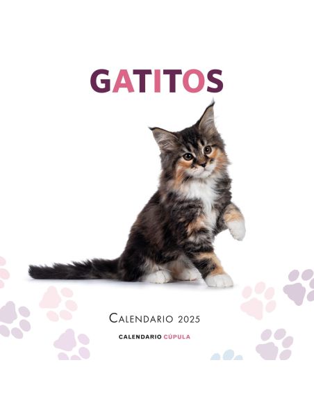 Calendario Gatitos 2025|Libreriasalesiana