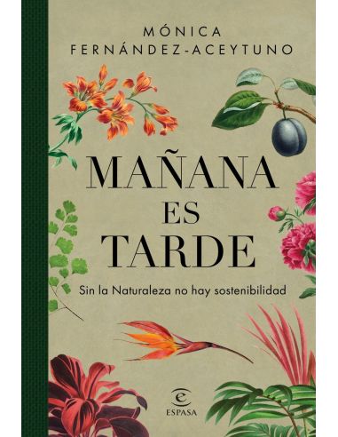 Mañana Es Tarde