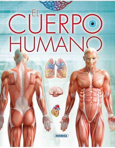 El Cuerpo Humano