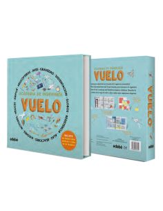 Academia De Ingeniería: Vuelo