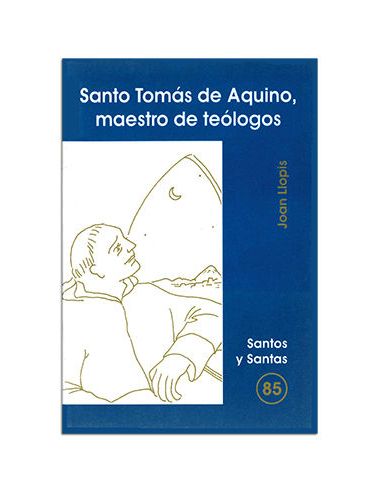 Santo Tomás De Aquino, Maestro De Teólogos