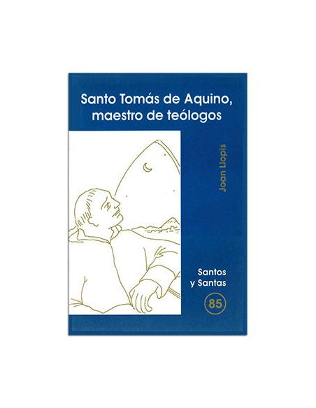 Santo Tomás De Aquino, Maestro De Teólogos