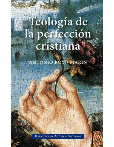Teología De La Perfección Cristiana