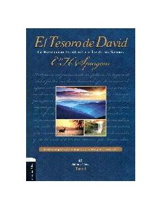 El Tesoro De David I