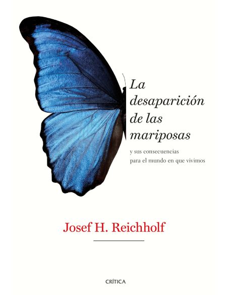 La Desaparición De Las Mariposas