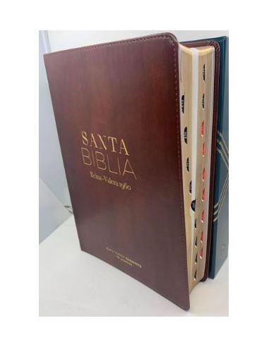 Biblia Rvr60 Letra Súper Gigante 19 Puntos I/Piel Marrón Con Índice