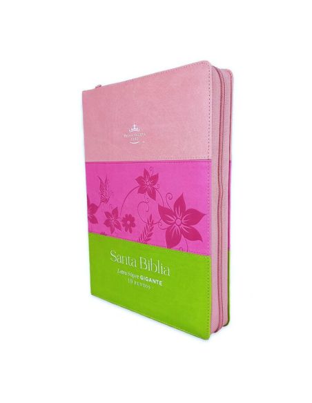 Biblia Rvr60 Portátil Letra Grande 11 Puntos Tricolor Rosa/Fucsia/Lima Con Cierre/Índice