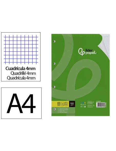 Recambio Liderpapel A4 100 Hojas 100Gr Cuadro 4Mm Con M Argen 4 Taladros
