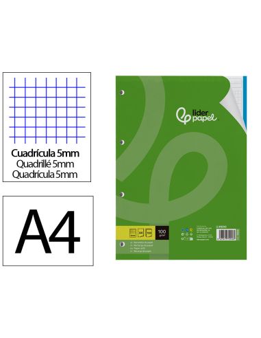 Recambio Liderpapel A4 100 Hojas 100Gr Cuadro 5Mm 4 Taladros Bandas De 5 Colores
