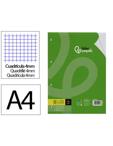 Recambio Liderpapel A4 100 Hojas 75Gr Cuadro 4Mm Con Margen 4 Taladros