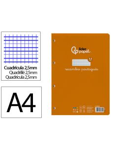 Recambio Liderpapel A4 Pautaguia 100 Hojas 75Gr Cuadriculado Pautado 2,5Mm Con Margen 4 Taladros