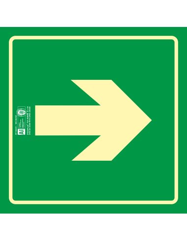 Pictograma Syssa Señal De Via De Evacuacion En Pvc Fotoluminiscente 210X210 Mm
