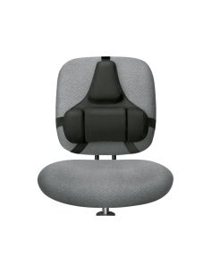Respaldo Ergonomico Profesional Fellowes 2