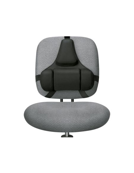 Respaldo Ergonomico Profesional Fellowes
