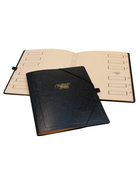 Carpeta Clasificador Carton Compacto Saro Folio Negra 12 Departamentos