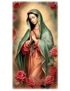 Cuadro Madera Virgen Guadalupe Color 12X24