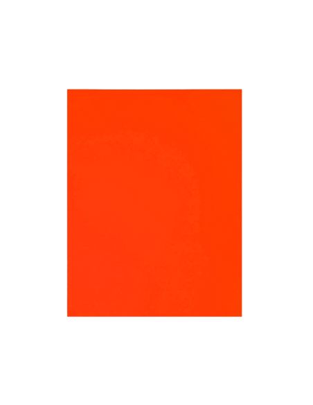 Cartulina Guarro Coral 50X65 Cm 185 Gr