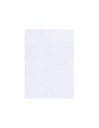 Tapa Encuadernacion Liderpapel Polipropileno A4 0.33Mm Translucida Paquete De 150 Unidades
