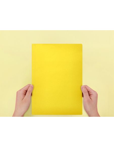 Subcarpeta Liderpapel Folio Amarillo Intenso 180G/M2