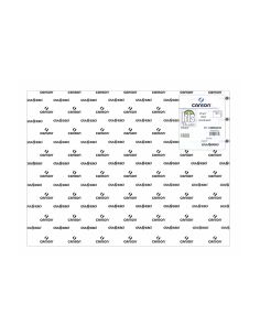 Cartulina Guarro Blanca 50X65 Cm 185 Gr 2