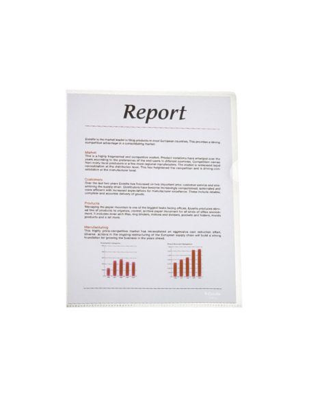 Carpeta Dossier Uñero Plastico Esselte Folio Translucidoo