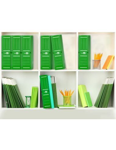 Caja Archivo Definitivo Plastico Liderpapel Lomo 100 Mm Verde 360X100X260 Mm