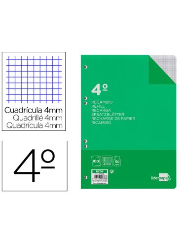 Recambio Liderpapel Cuarto 100 Hojas 60Gr Cuadro 4Mm Con Margen 6 Taladros