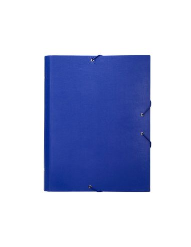 Carpeta Clasificadora Liderpapel 12 Departamentos Folio Prolongado Carton Forrado Azul