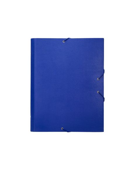 Carpeta Clasificadora Liderpapel 12 Departamentos Folio Prolongado Carton Forrado Azul