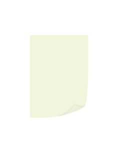 Papel Color Q-Connect Din A4 80Gr Champagne Paquete De 500 Hojas 2