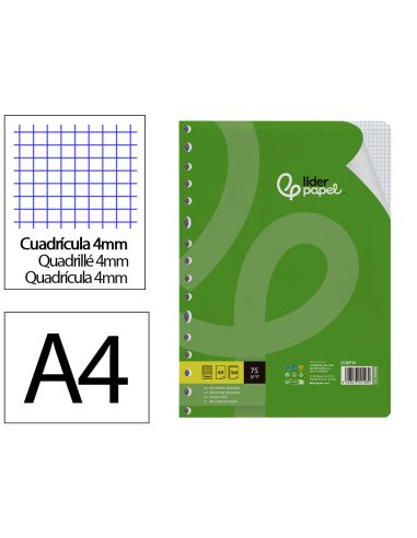 Recambio Liderpapel A4 100 Hojas 75Gr Cuadro 4Mm Con Margen 16 Taladros