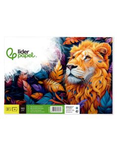Bloc Dibujo Liderpapel Artistico Encolado 230X325Mm 20 Hojas 180 G/M2 Sin Recuadro 2