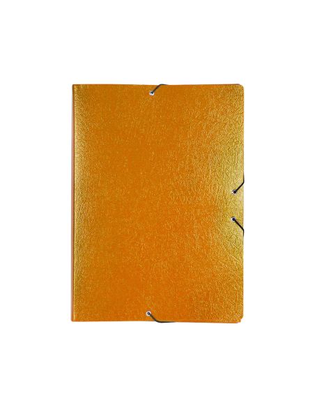 Carpeta Proyectos Liderpapel Folio Lomo 70Mm Carton Gofrado Verde