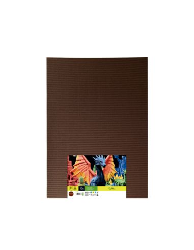 Carton Ondulado Liderpapel 50 X 70Cm 320G/M2 Marron