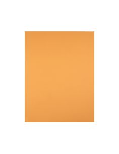 Cartulina Liderpapel 50X65 Cm 180 Gr Avellana Unidad 2