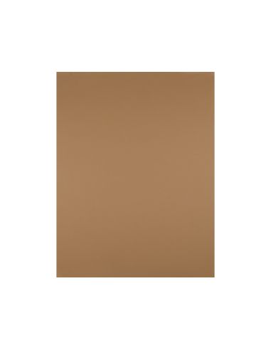 Cartulina Liderpapel 50X65 Cm 180 Gr Marron Escolar Unidad
